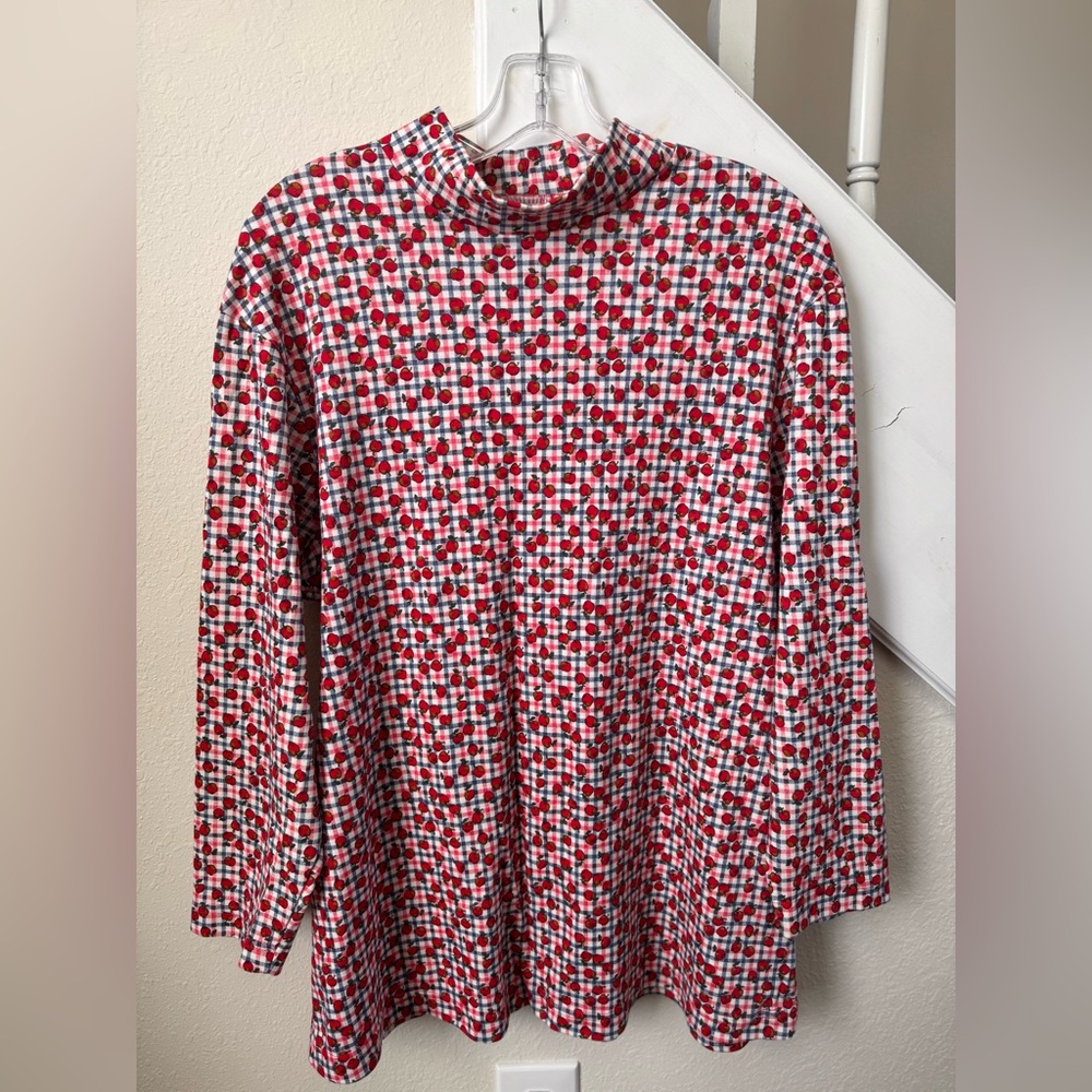 Vintage Physical Attraction Apple/Teacher Chic Gingham Mock Neck Top - 1X
